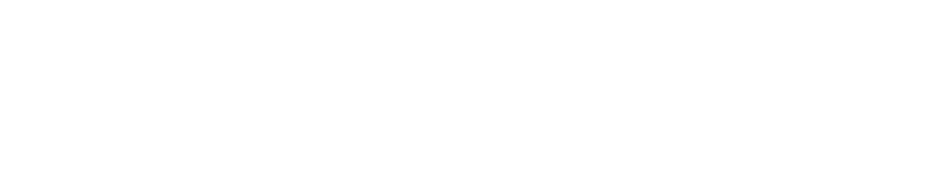 The Social Prophet logo